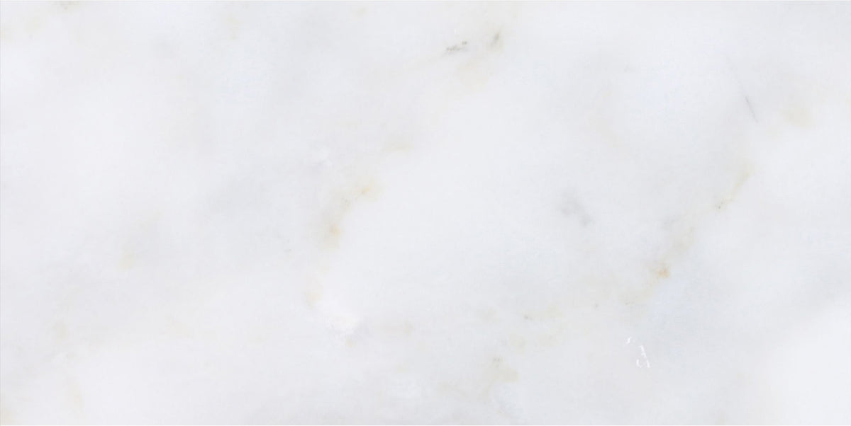 Calacatta Vida Honed 6'' x 12''  x 3/8'' Field Tile