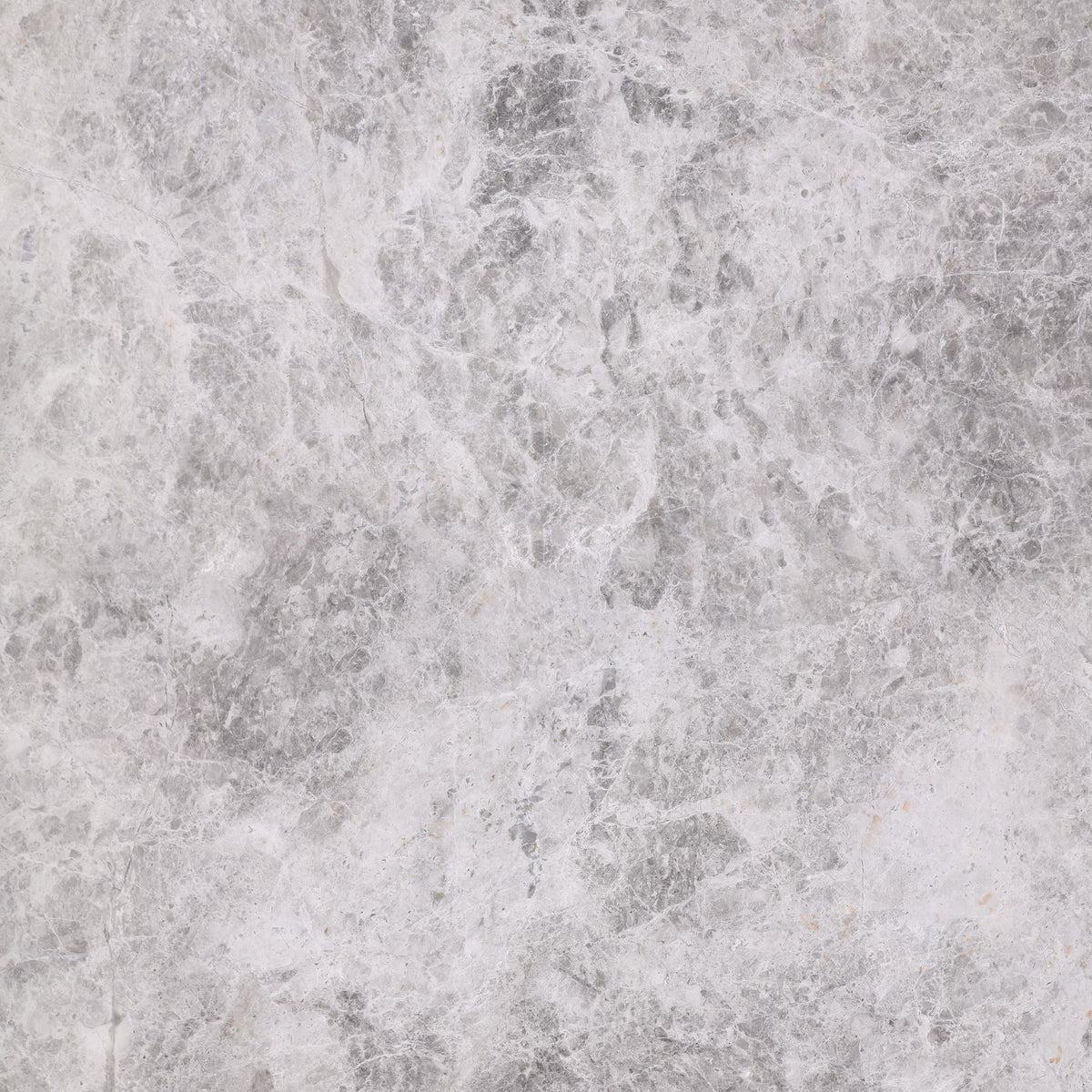 Tundra Grey Honed 24'' x 24''  x 5/8'' Field Tile