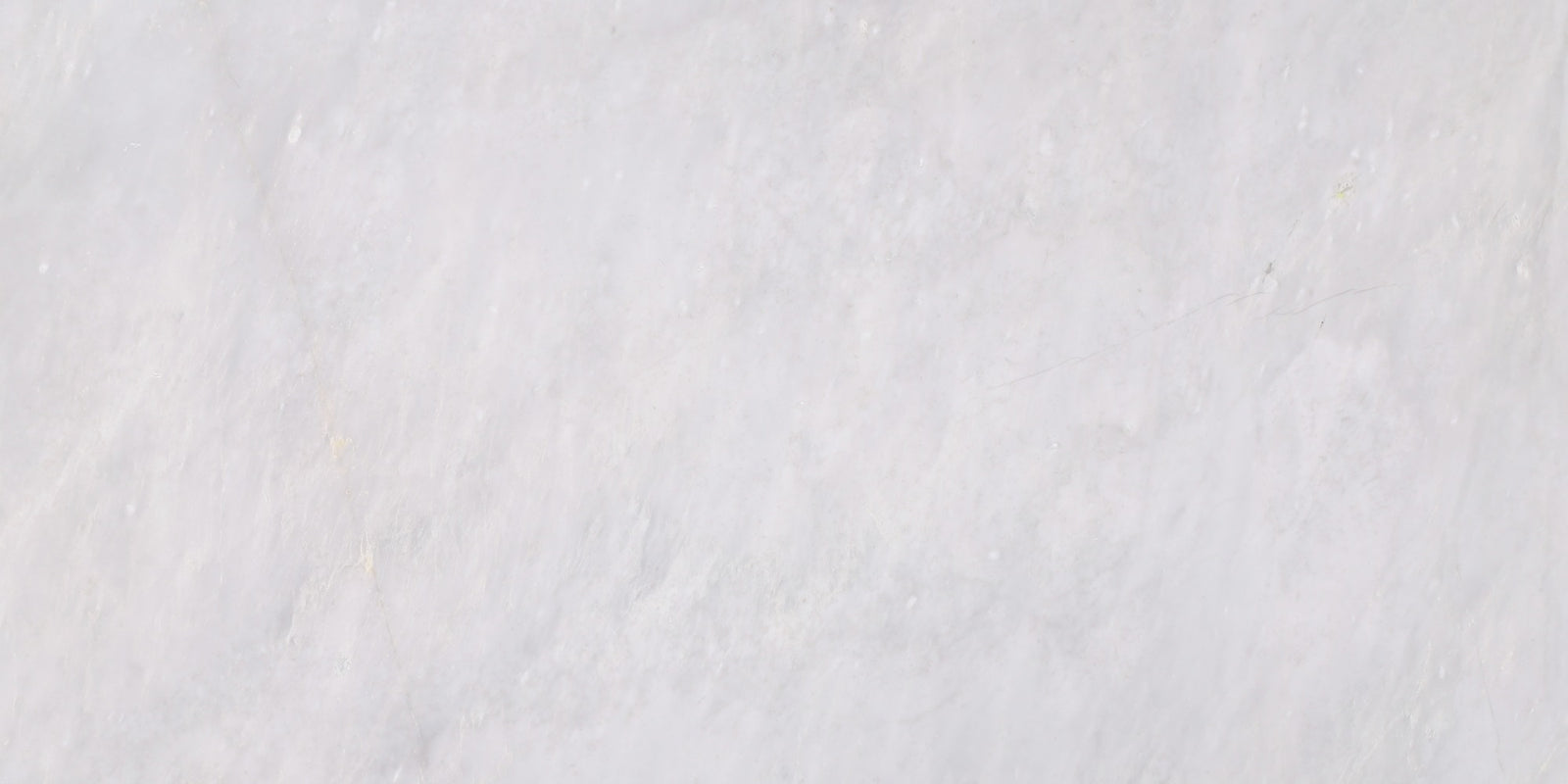 Ice Grey Polished 12'' x 24''  x 1/2'' Field Tile Building Materials 