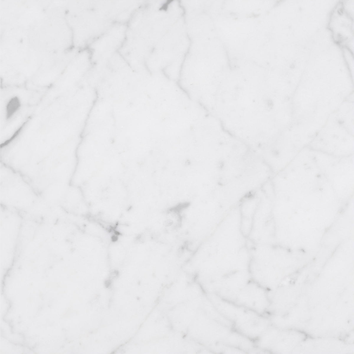 Alba Vera Honed 18'' x 18''  x 1/2'' Field Tile