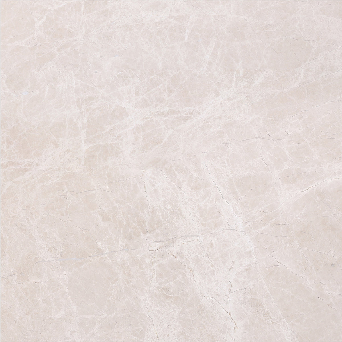 Vanillish Pearl Polished 16'' x 16''  x 5/8'' Field Tile Building Materials 