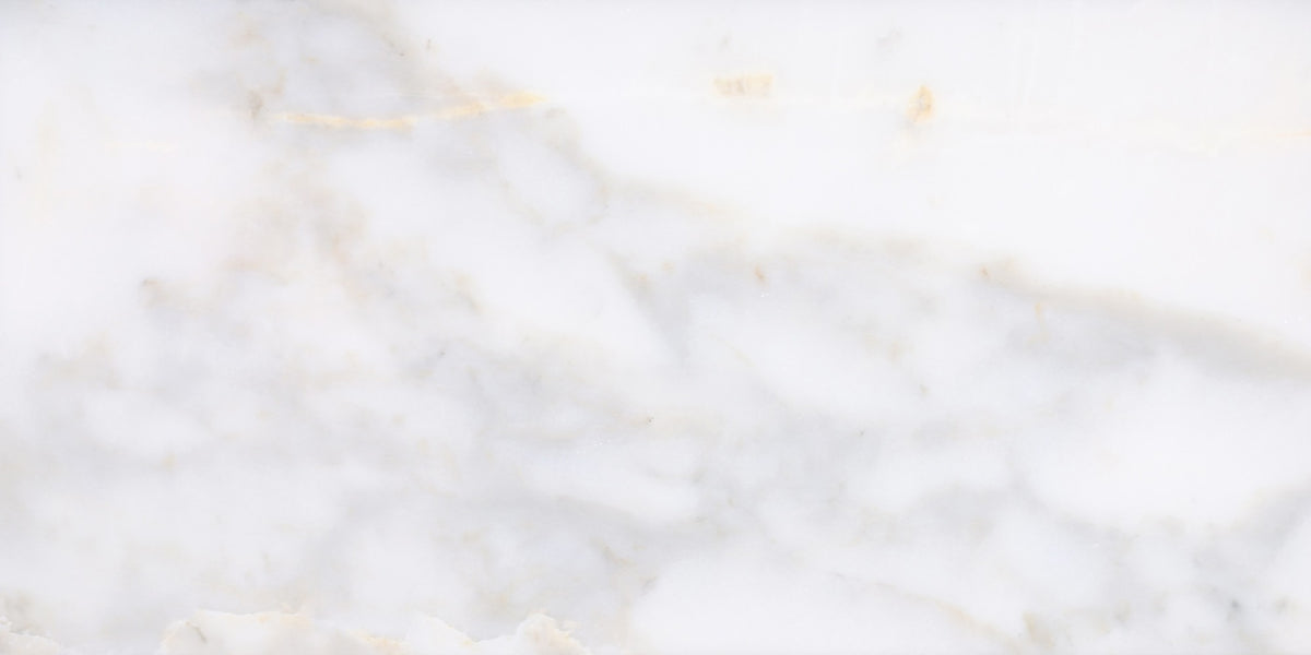 Calacatta Vida Polished 12'' x 24''  x 3/8'' Field Tile Building Materials 