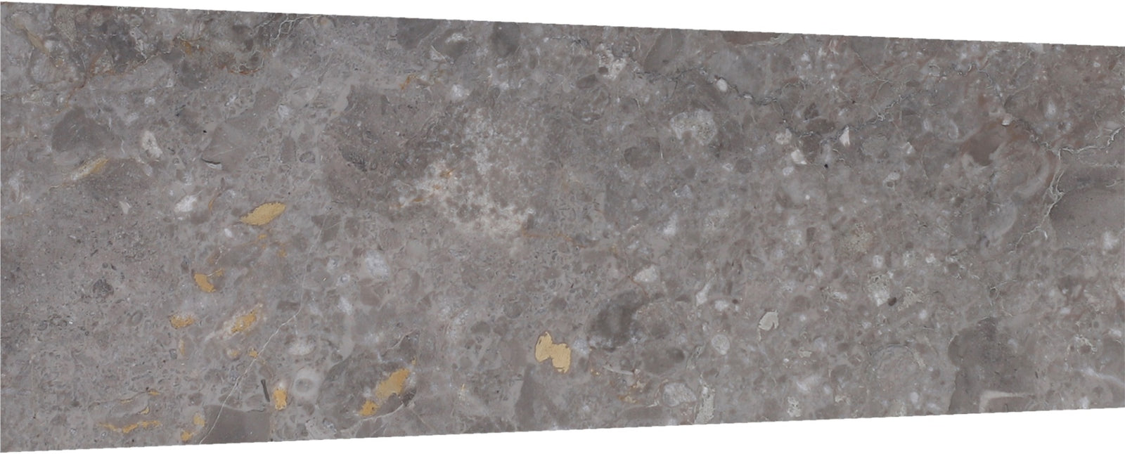Caribbean Grey Honed Amalfi  x 3/8'' Field Tile Building Materials 