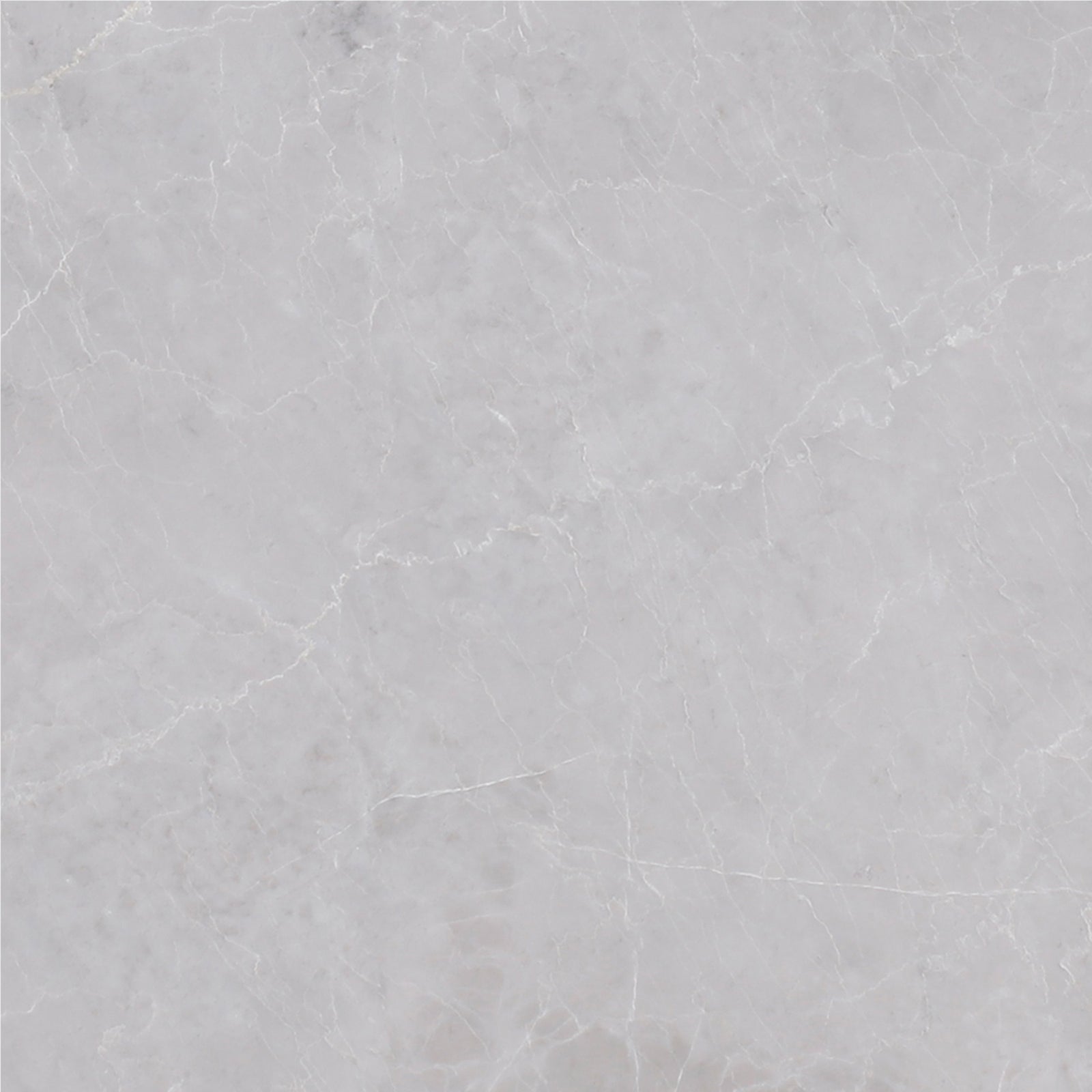 Earth Grey Polished 12'' x 12''  x 3/8'' Field Tile Field Tile 