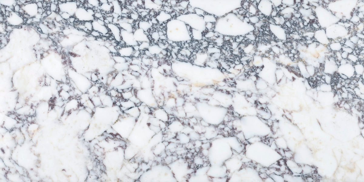 Calacatta Viola Honed 12'' x 24''  x 3/8'' Field Tile