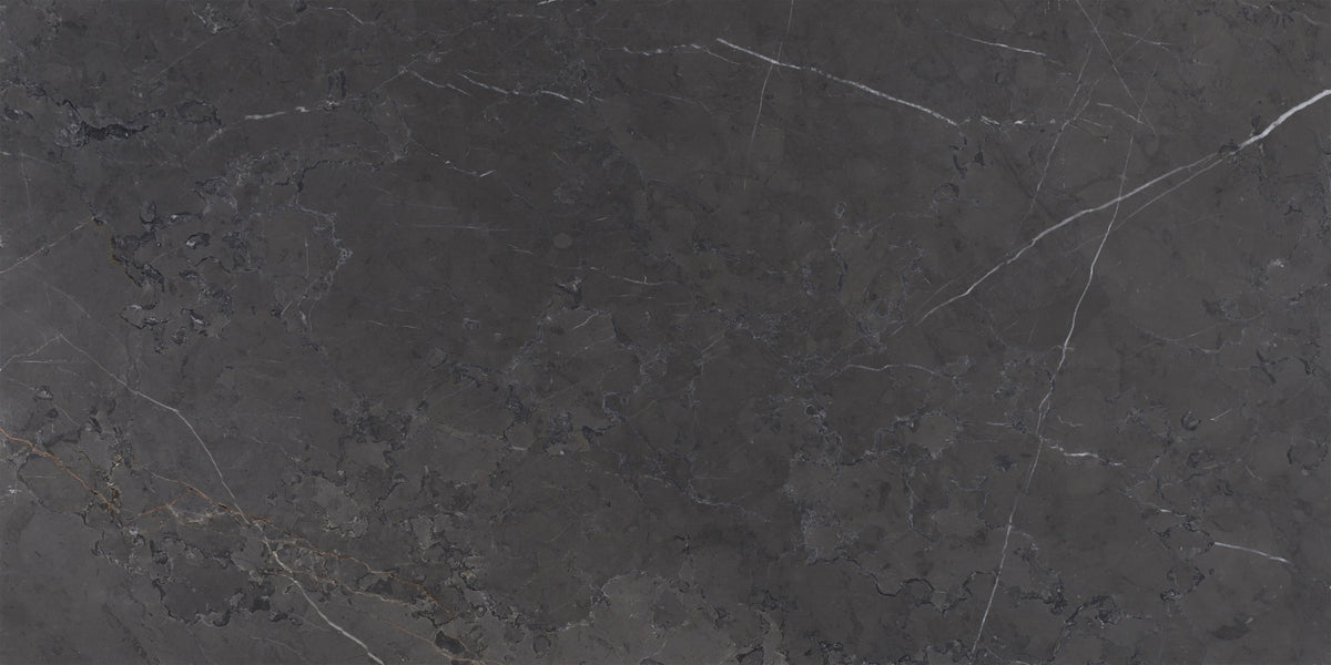 Mount Grey Plain Honed 12'' x 24''  x 1/2'' Field Tile