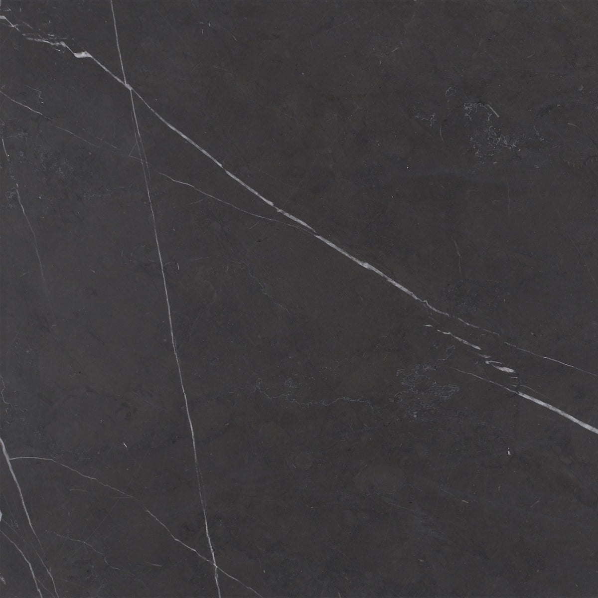 Mount Grey Plain Honed 12'' x 12''  x 3/8'' Field Tile