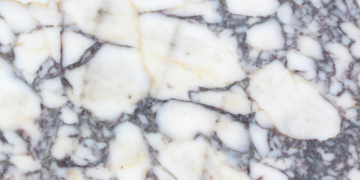 Calacatta Viola Honed 12'' x 24''  x 3/8'' Field Tile