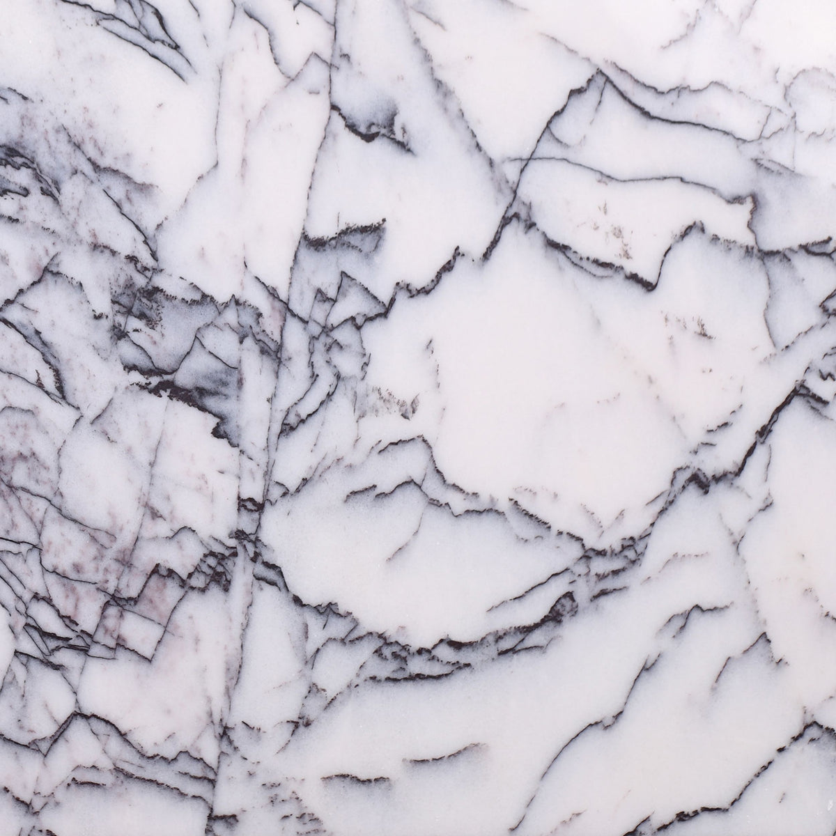 Violeta Polished 12'' x 12''  x 3/8'' Field Tile