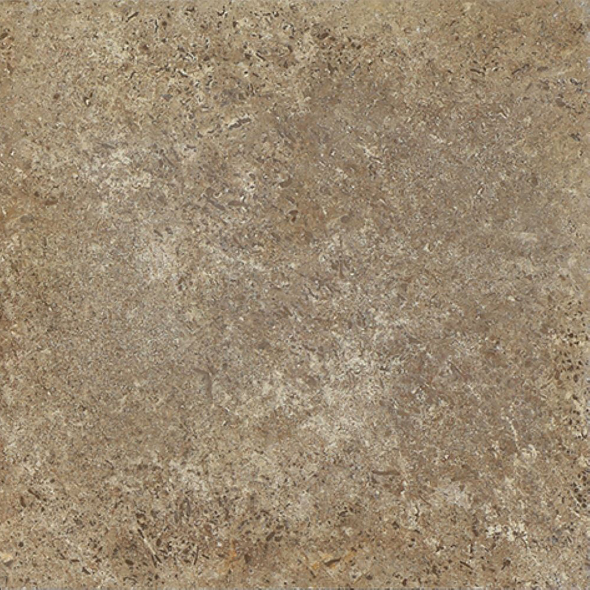 Noce Dark CC Honed 12'' x 12''  x 3/8'' Field Tile