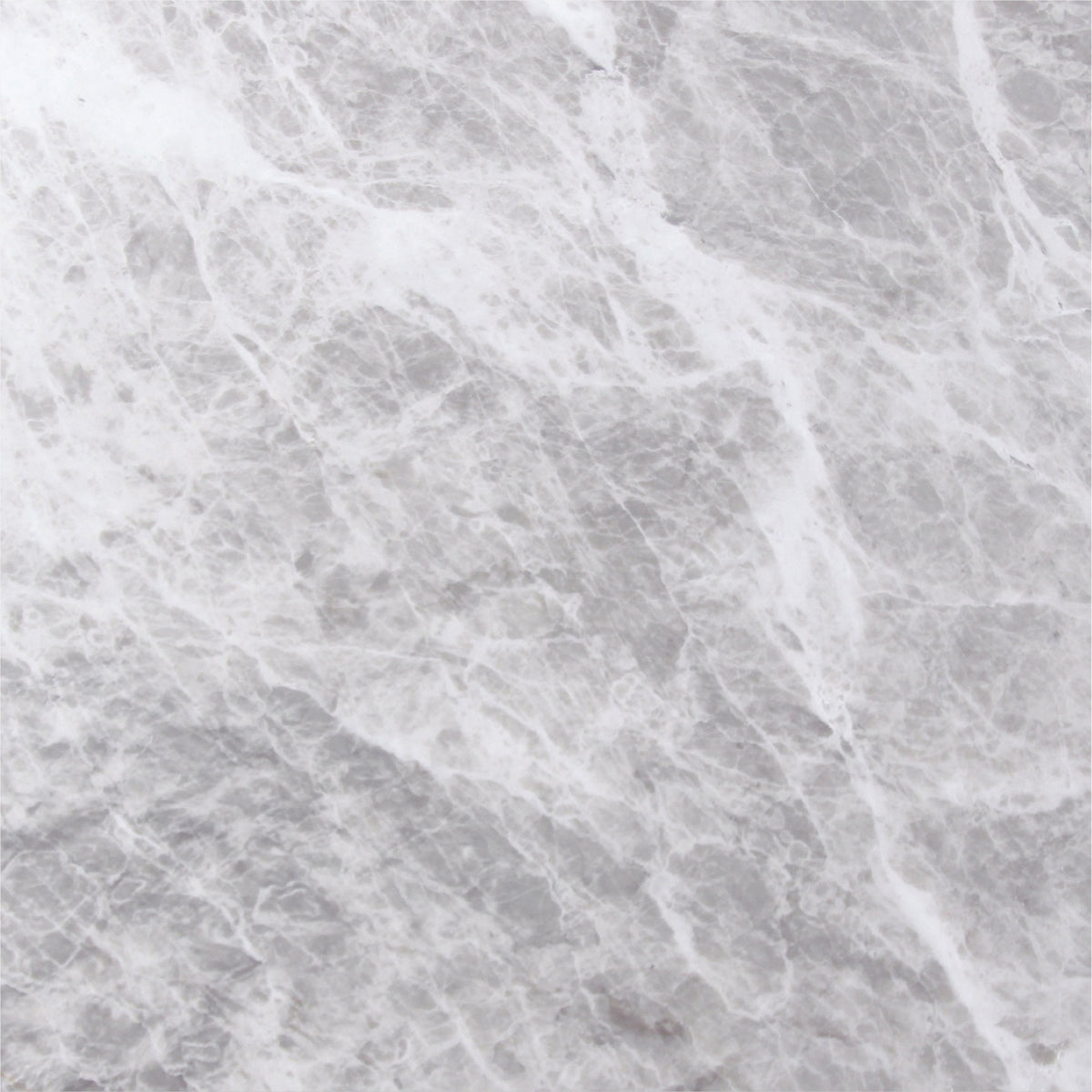 Nordic Grey Honed 18'' x 18''  x 1/2'' Field Tile