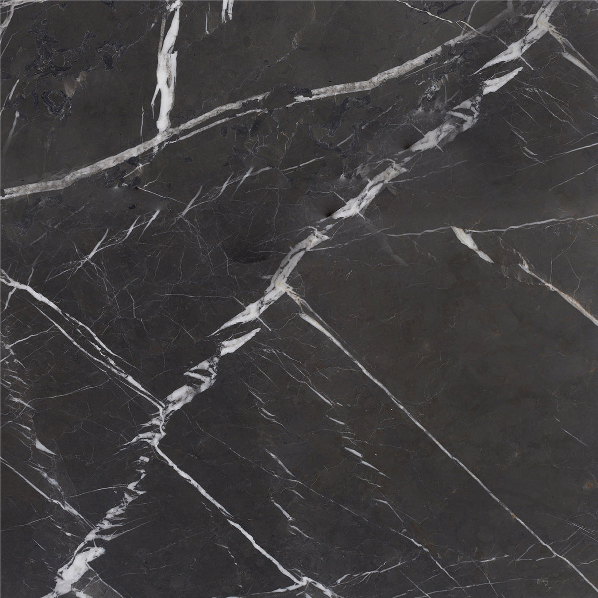 Mount Grey Plain Brushed 18'' x 18''  x 1/2'' Field Tile