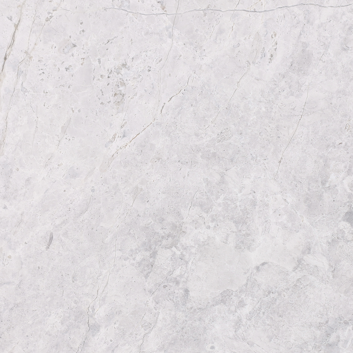 Tundra Grey Honed 18'' x 18''  x 1/2'' Field Tile