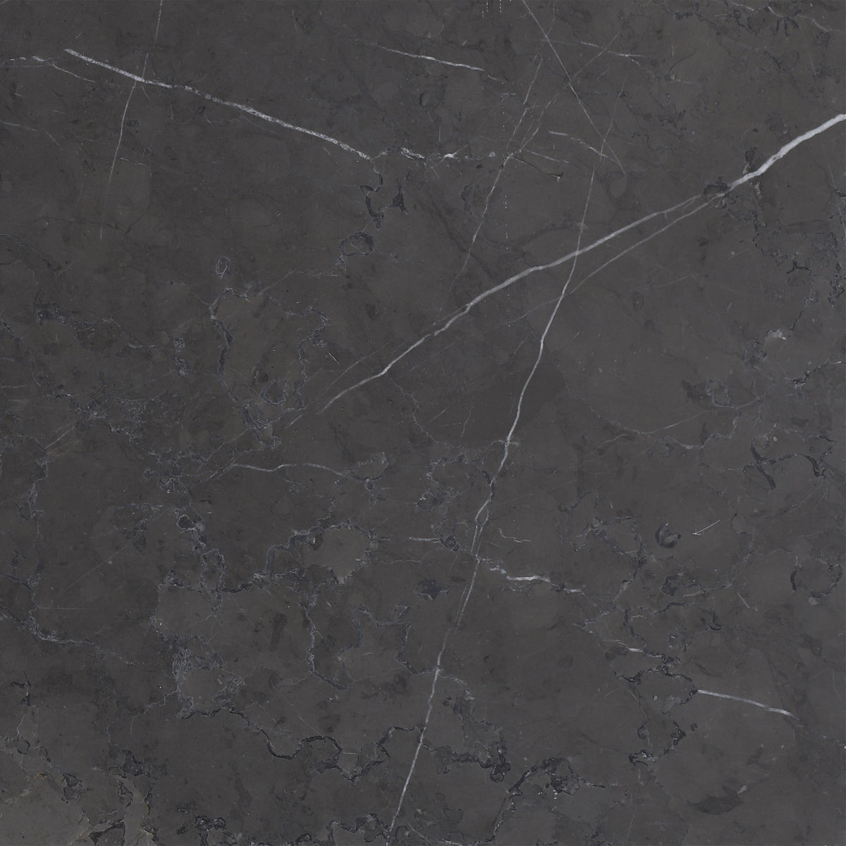 Mount Grey Plain Honed 12'' x 12''  x 3/8'' Field Tile