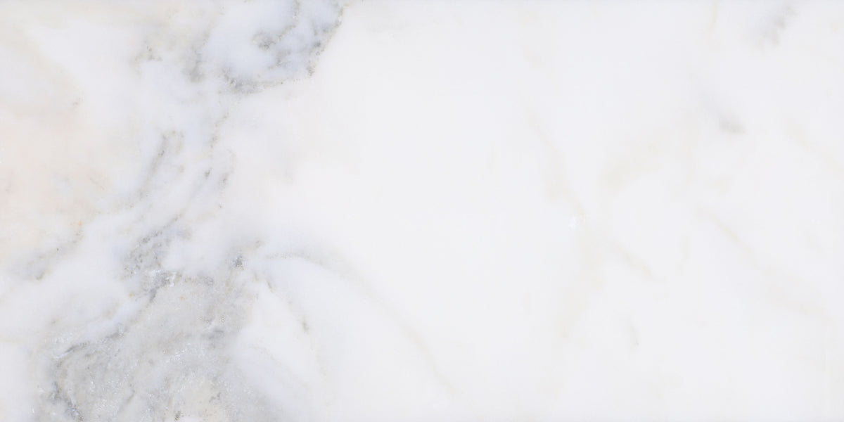 Calacatta Vida Polished 12'' x 24''  x 3/8'' Field Tile Building Materials 