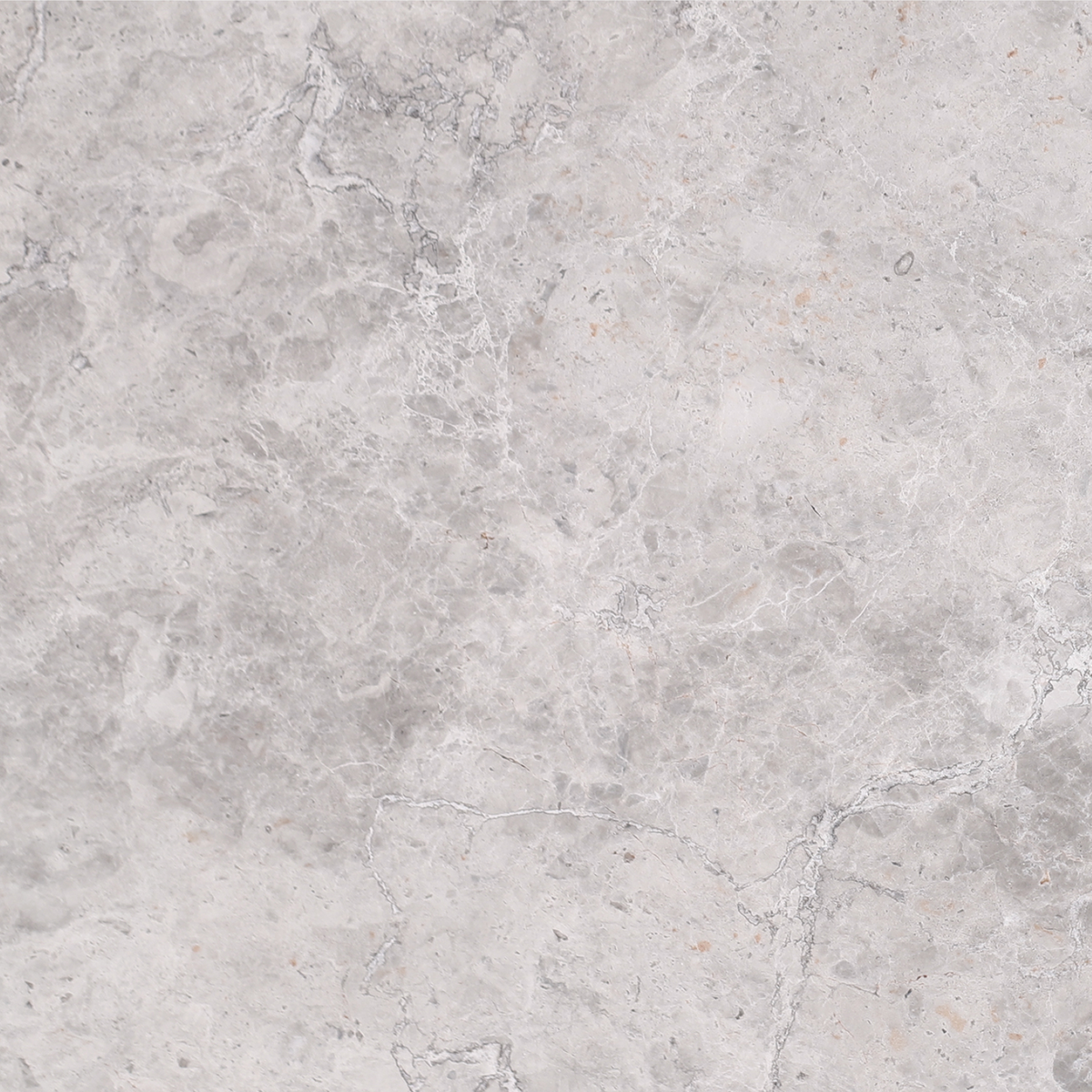 Tundra Grey Honed 18'' x 18''  x 1/2'' Field Tile