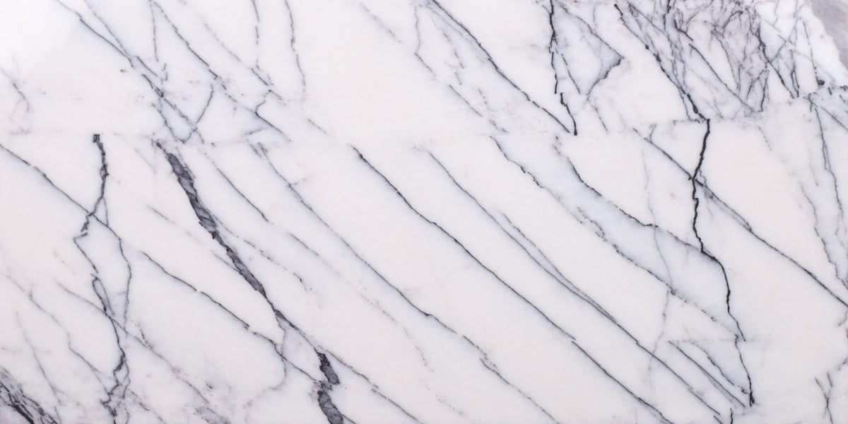 Violeta Polished 12'' x 24''  x 1/2'' Field Tile