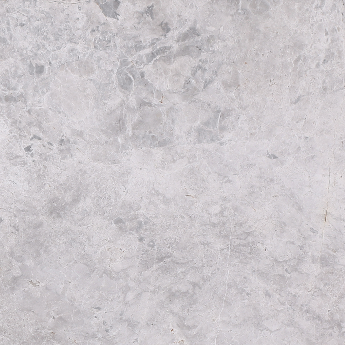 Tundra Grey Polished 12'' x 12''  x 3/8'' Field Tile Building Materials 