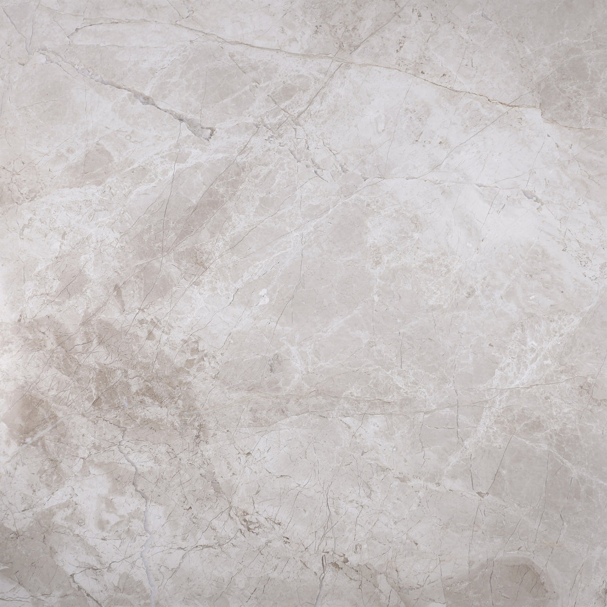 Cream Misto Honed 24'' x 24''  x 5/8'' Field Tile