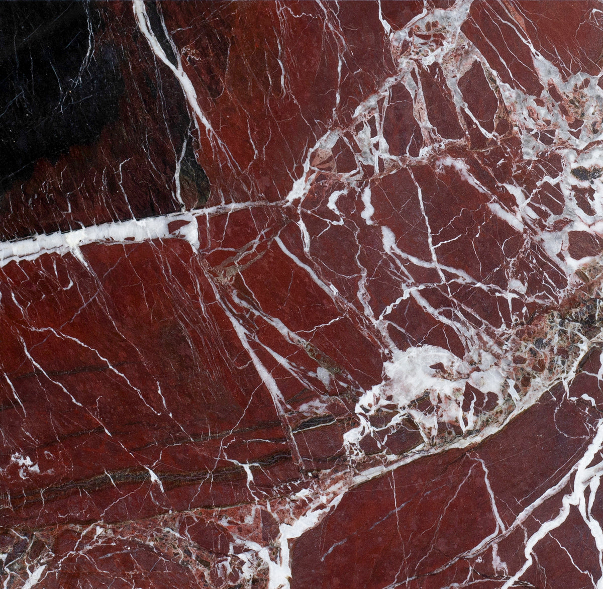 Rosso Levanto Honed 12'' x 12''  x 3/8'' Field Tile
