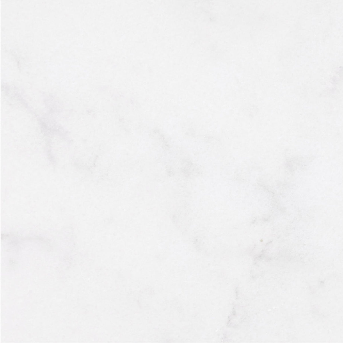 Alba Vera Polished 18'' x 18''  x 3/8'' Field Tile Building Materials 