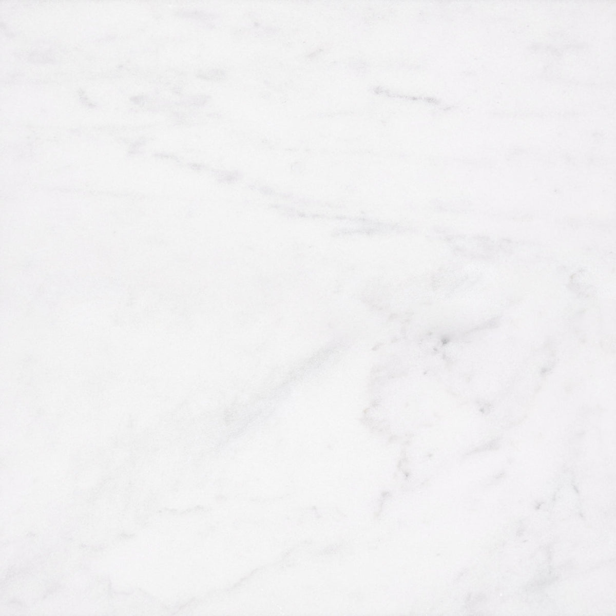 Alba Vera Honed 24'' x 24''  x 3/8'' Field Tile