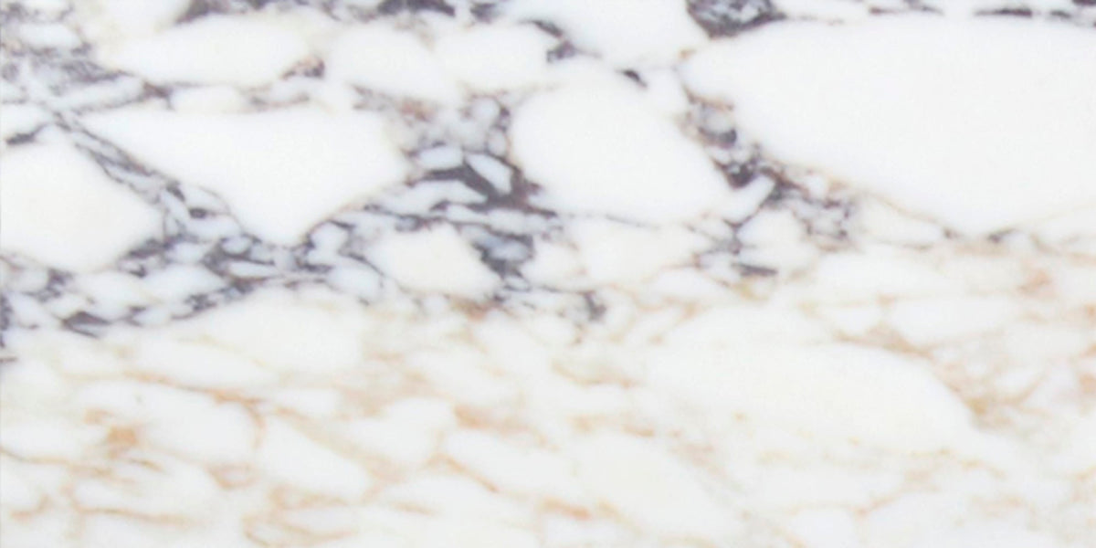 Calacatta Viola Honed 12'' x 24''  x 3/8'' Field Tile