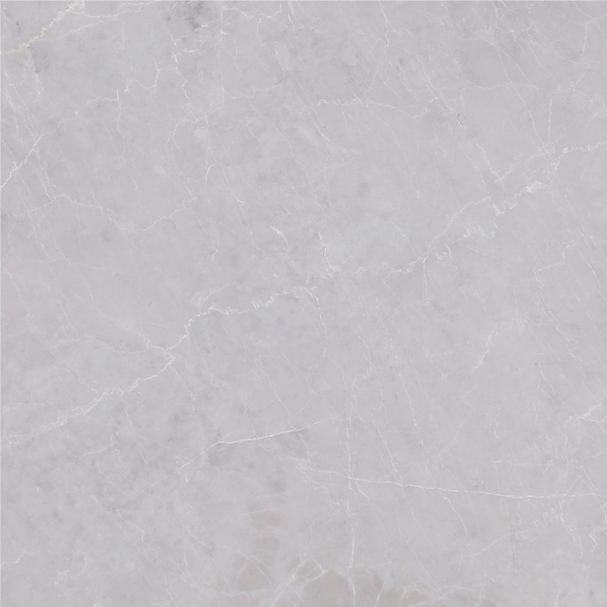 Earth Grey Polished 12'' x 12''  x 3/8'' Field Tile