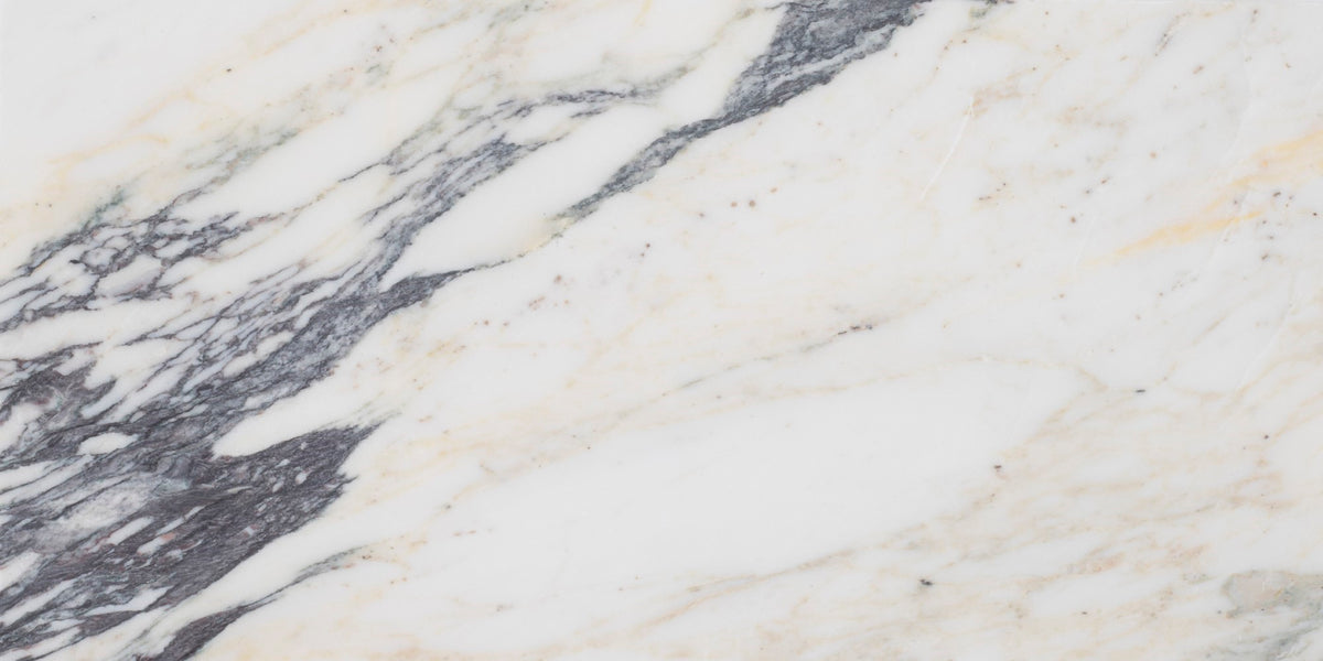 Calacatta Monet Honed 6&#39;&#39; x 12&#39;&#39;  x 3/8&#39;&#39; Field Tile Field Tile 