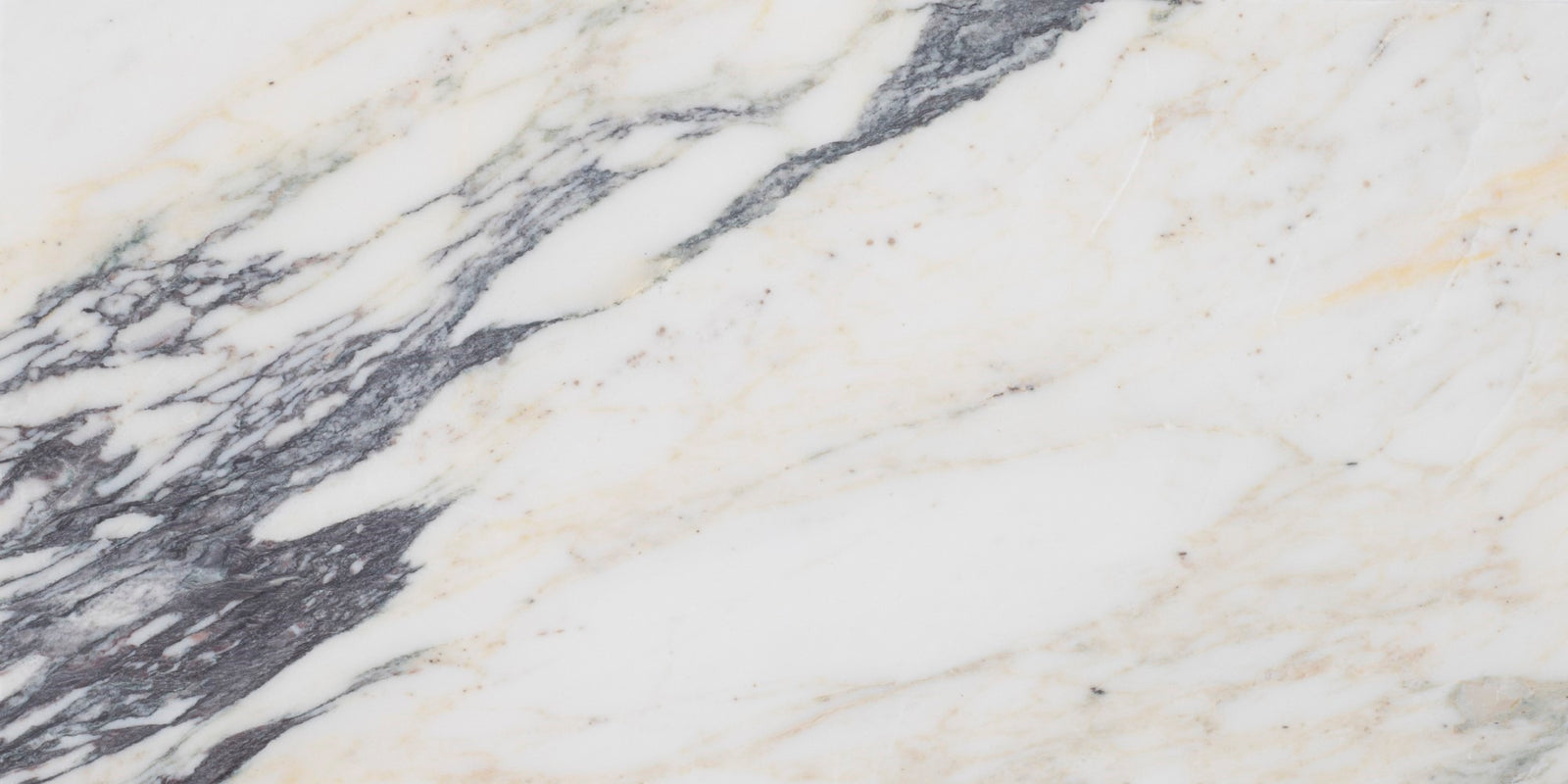 Calacatta Monet Honed 6'' x 12''  x 3/8'' Field Tile Field Tile 