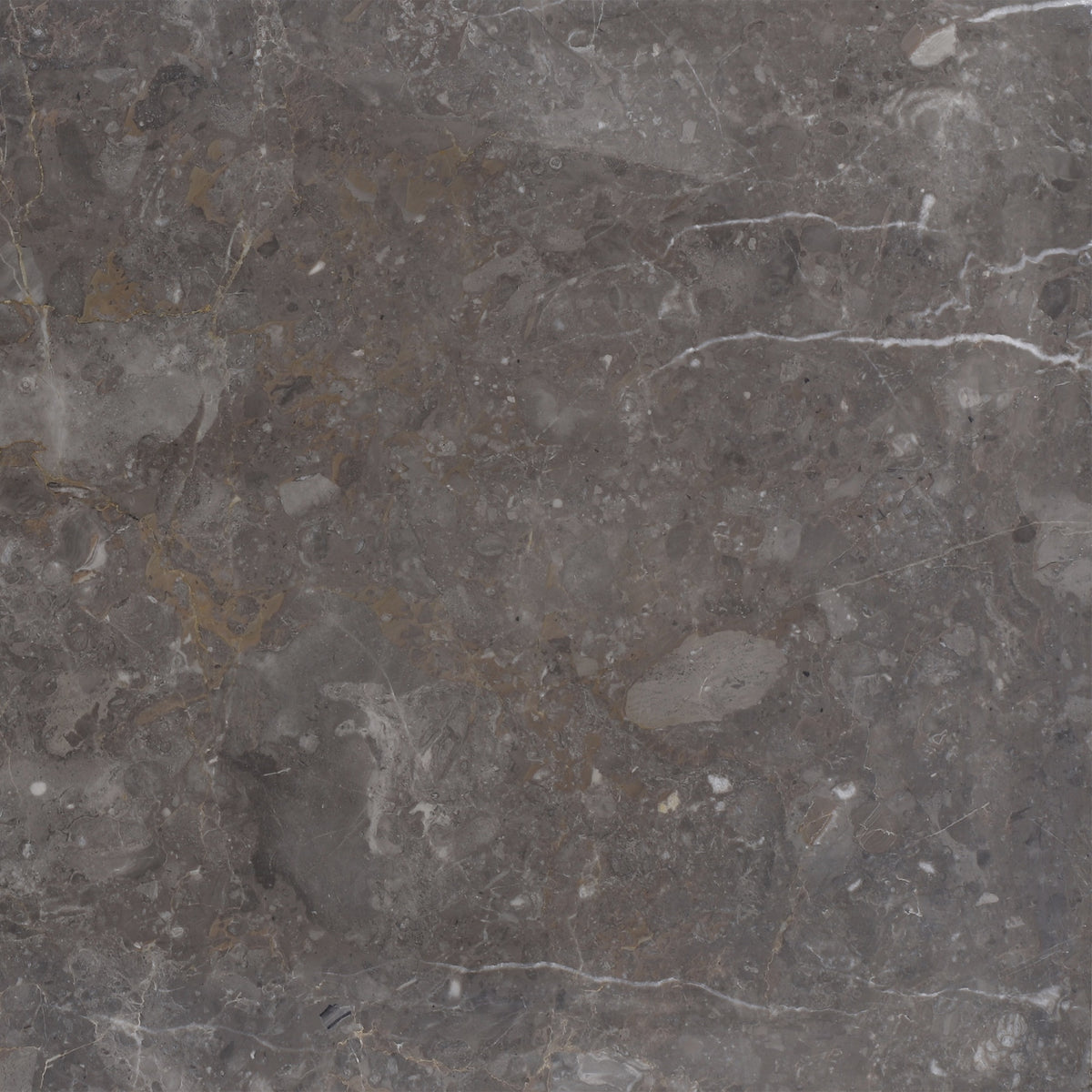 Caribbean Grey Honed 12'' x 12''  x 1/2'' Field Tile Building Materials 
