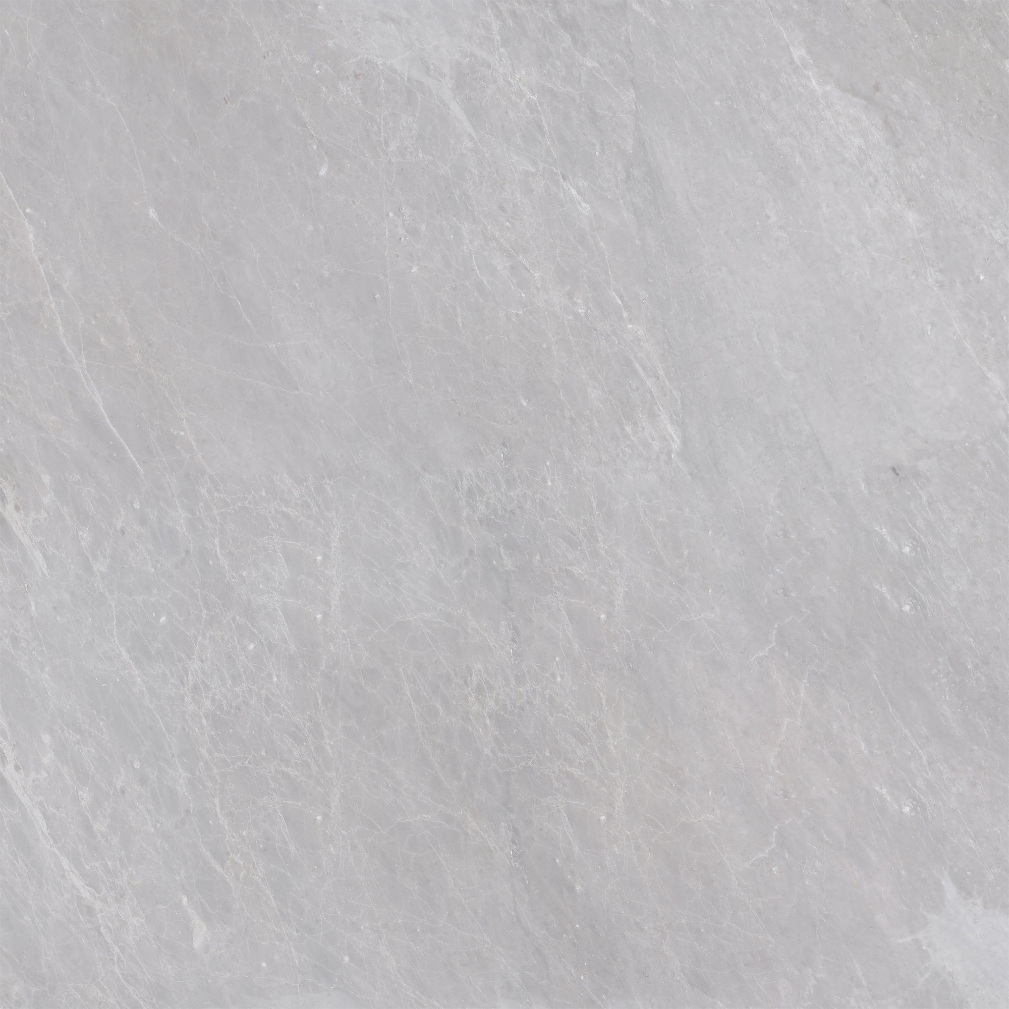 Earth Grey Honed 24'' x 24''  x 1/2'' Field Tile Field Tile 