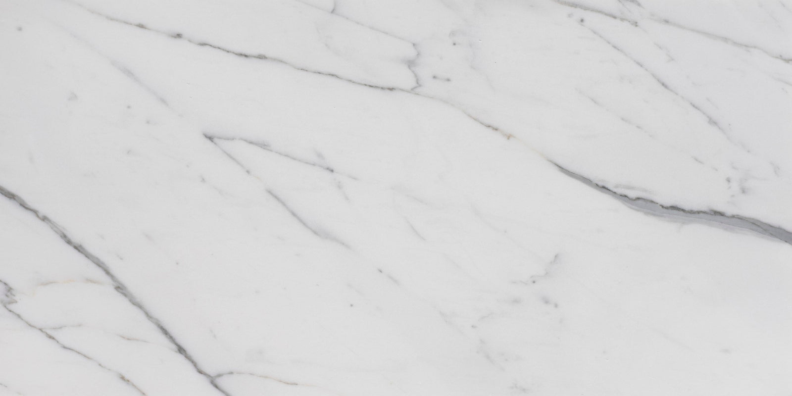 Statuario Extra Honed 12'' x 24''  x 3/8'' Field Tile Building Materials 