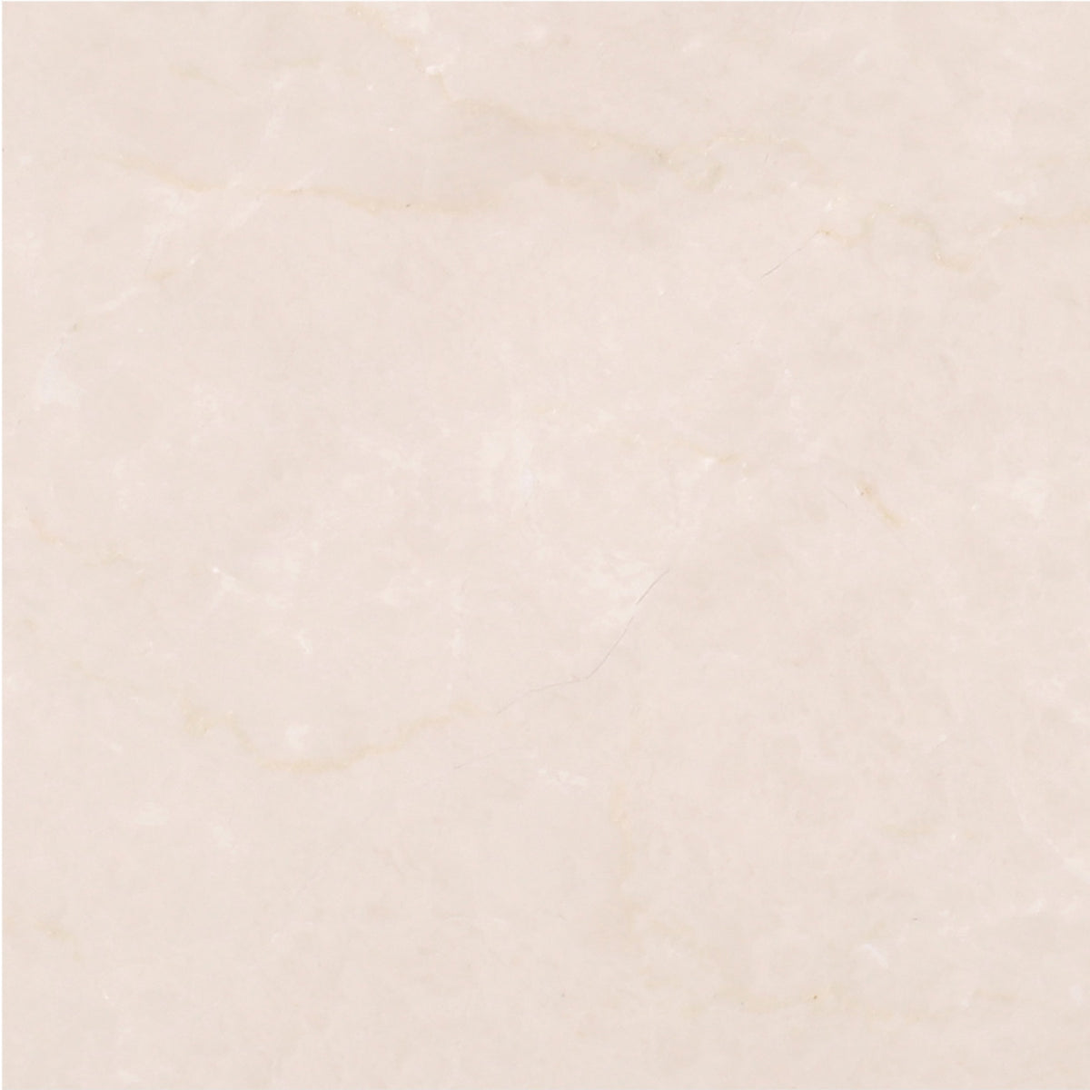 Crema Ella Honed 6'' x 6''  x 3/8'' Field Tile