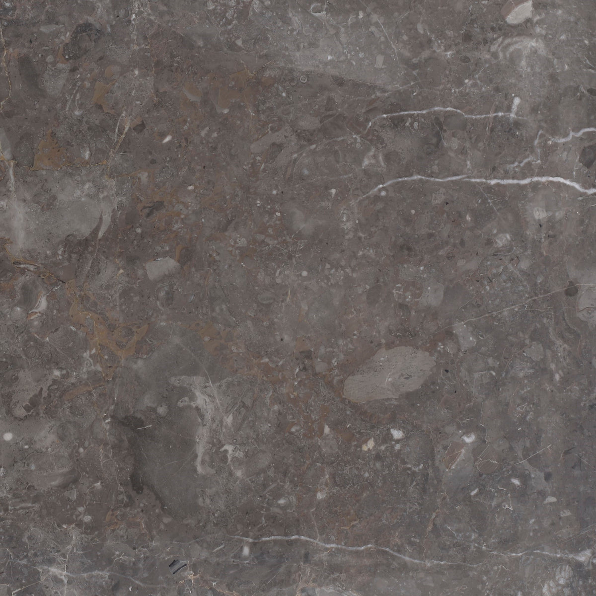 Caribbean Grey Honed 12'' x 12''  x 3/8'' Field Tile