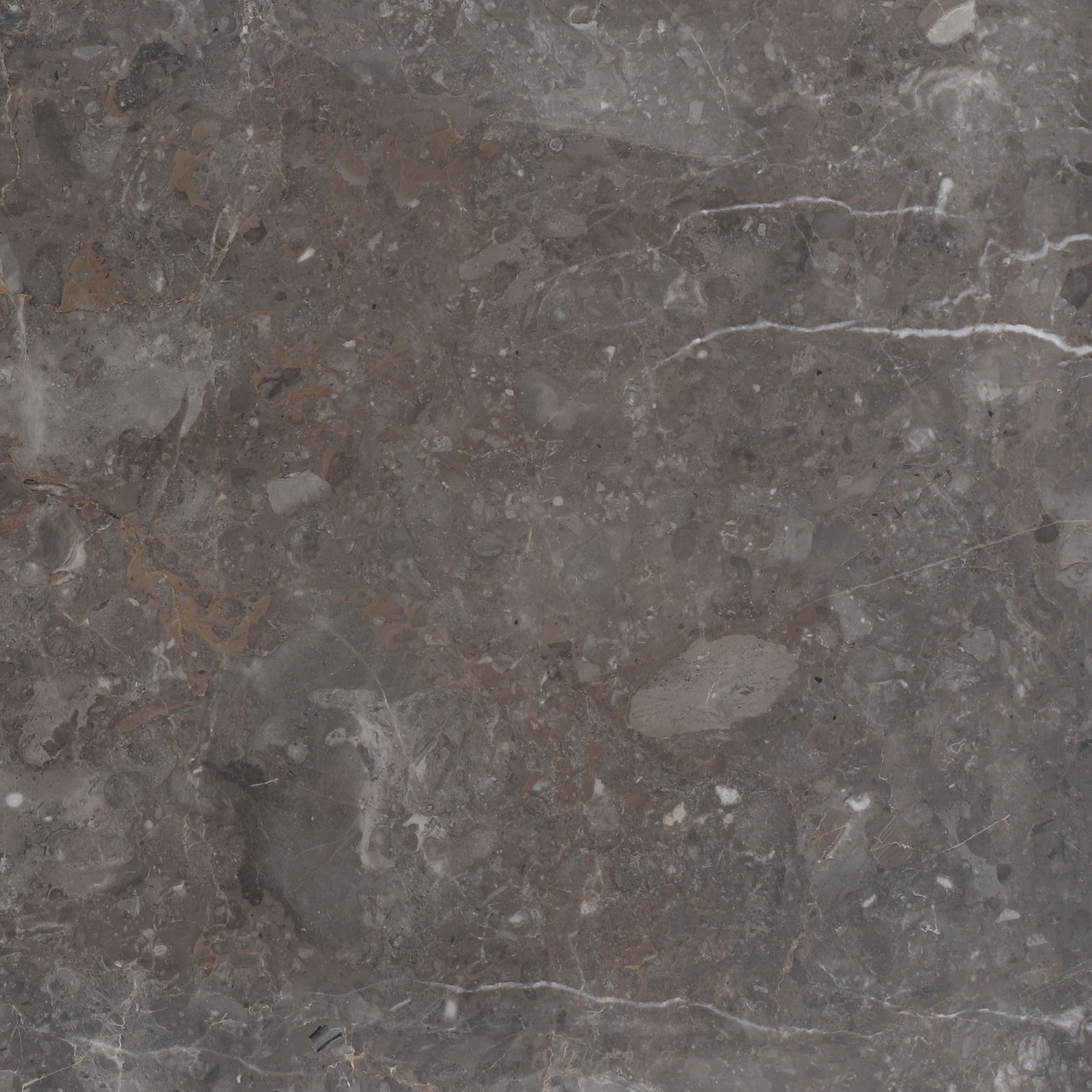 Caribbean Grey Honed 12'' x 12''  x 3/8'' Field Tile Building Materials 