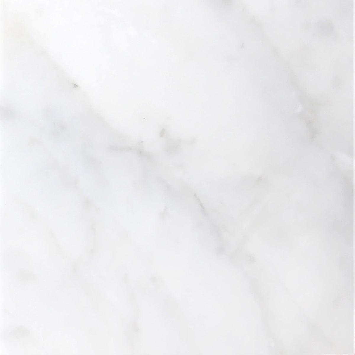 Calacatta Vida Honed 24'' x 24''  x 3/8'' Field Tile