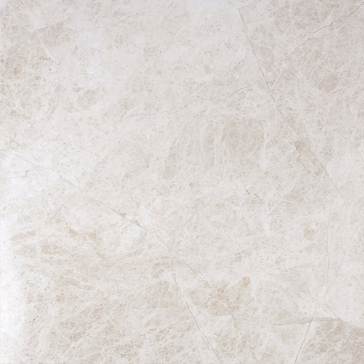Vanillish Pearl Polished 16'' x 16''  x 5/8'' Field Tile Building Materials 