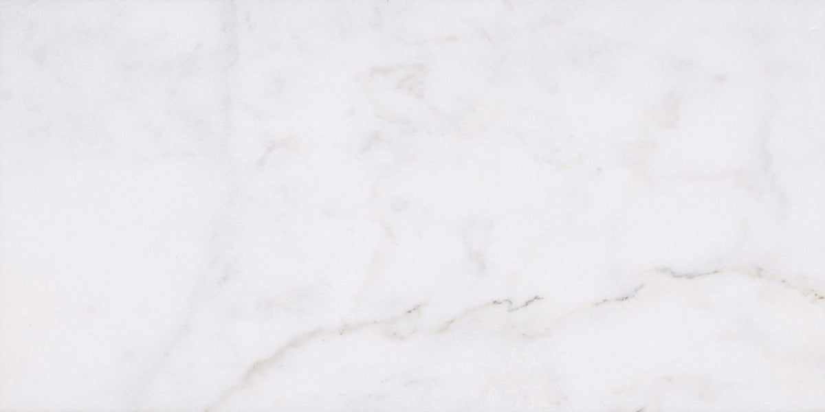 Alba Vera Honed 12'' x 24''  x 3/8'' Field Tile