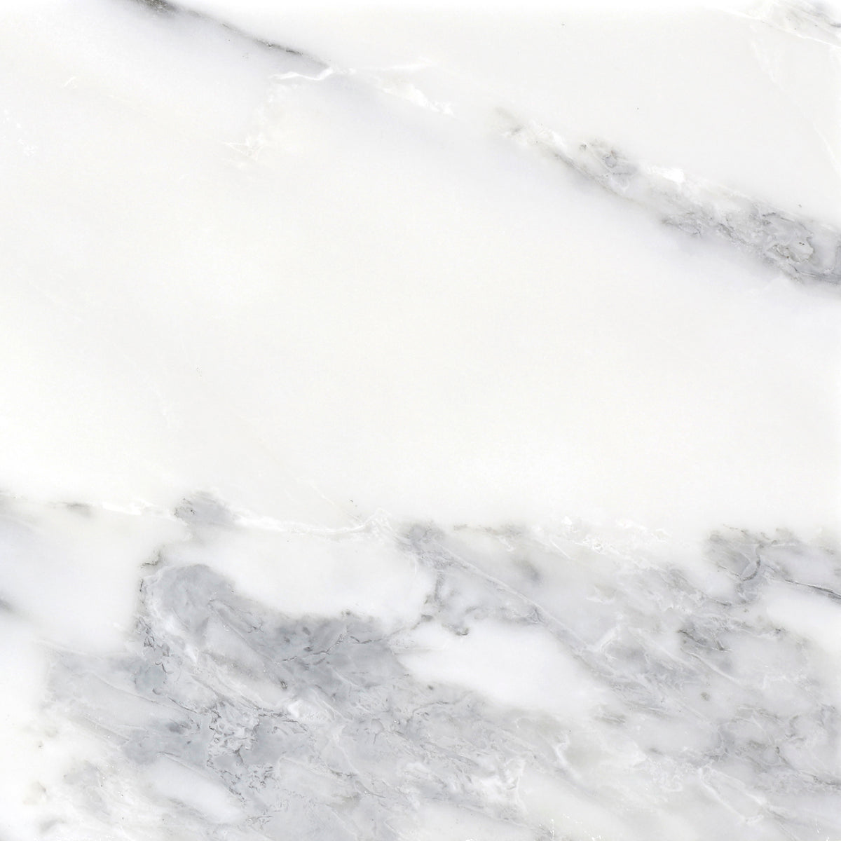 Statuario Honed 12'' x 12''  x 3/8'' Field Tile