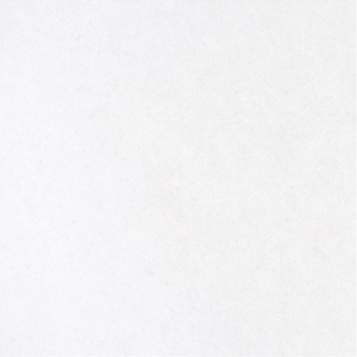 Snow White Honed 18'' x 18''  x 1/2'' Field Tile