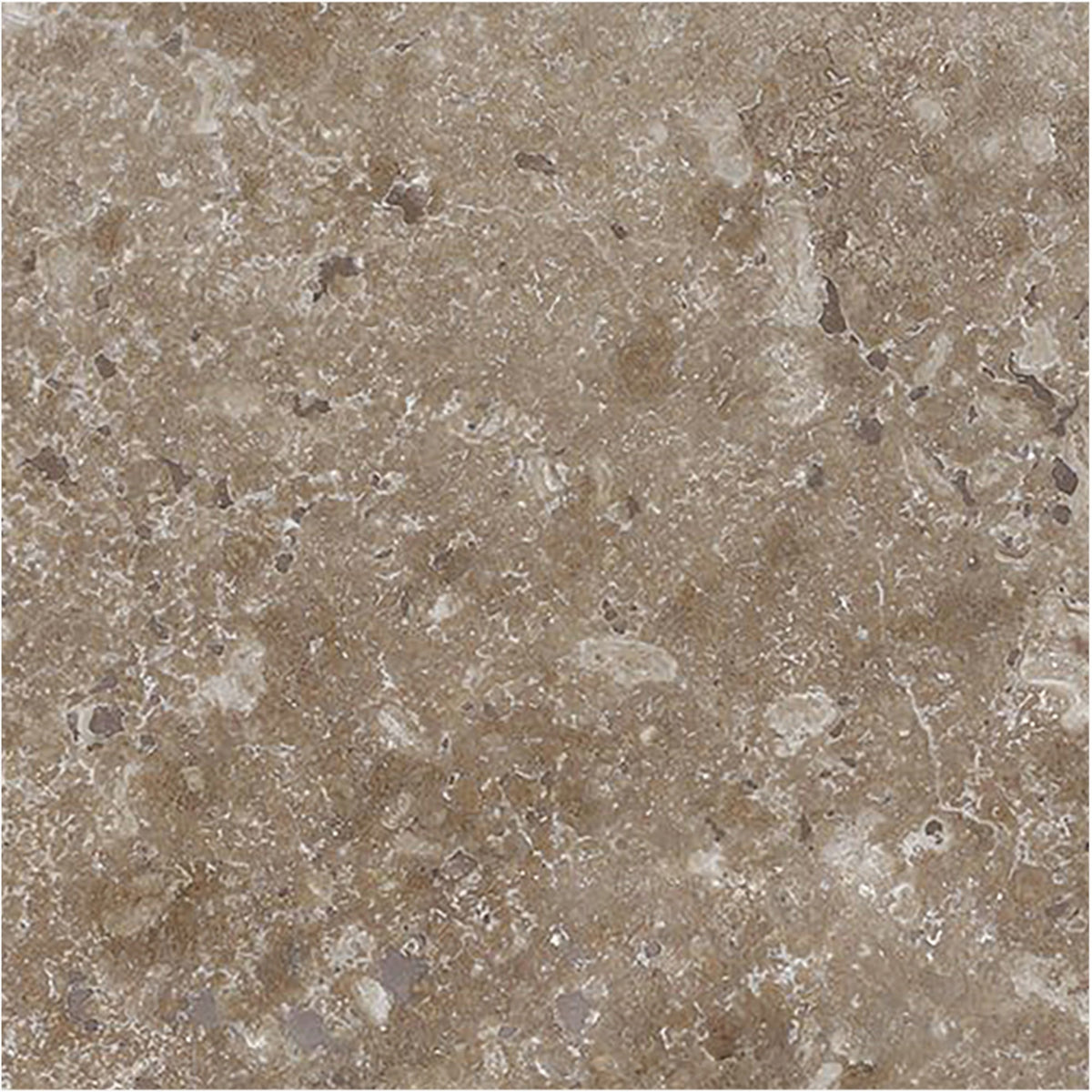 Noce Dark CC Honed 6'' x 6''  x 3/8'' Field Tile
