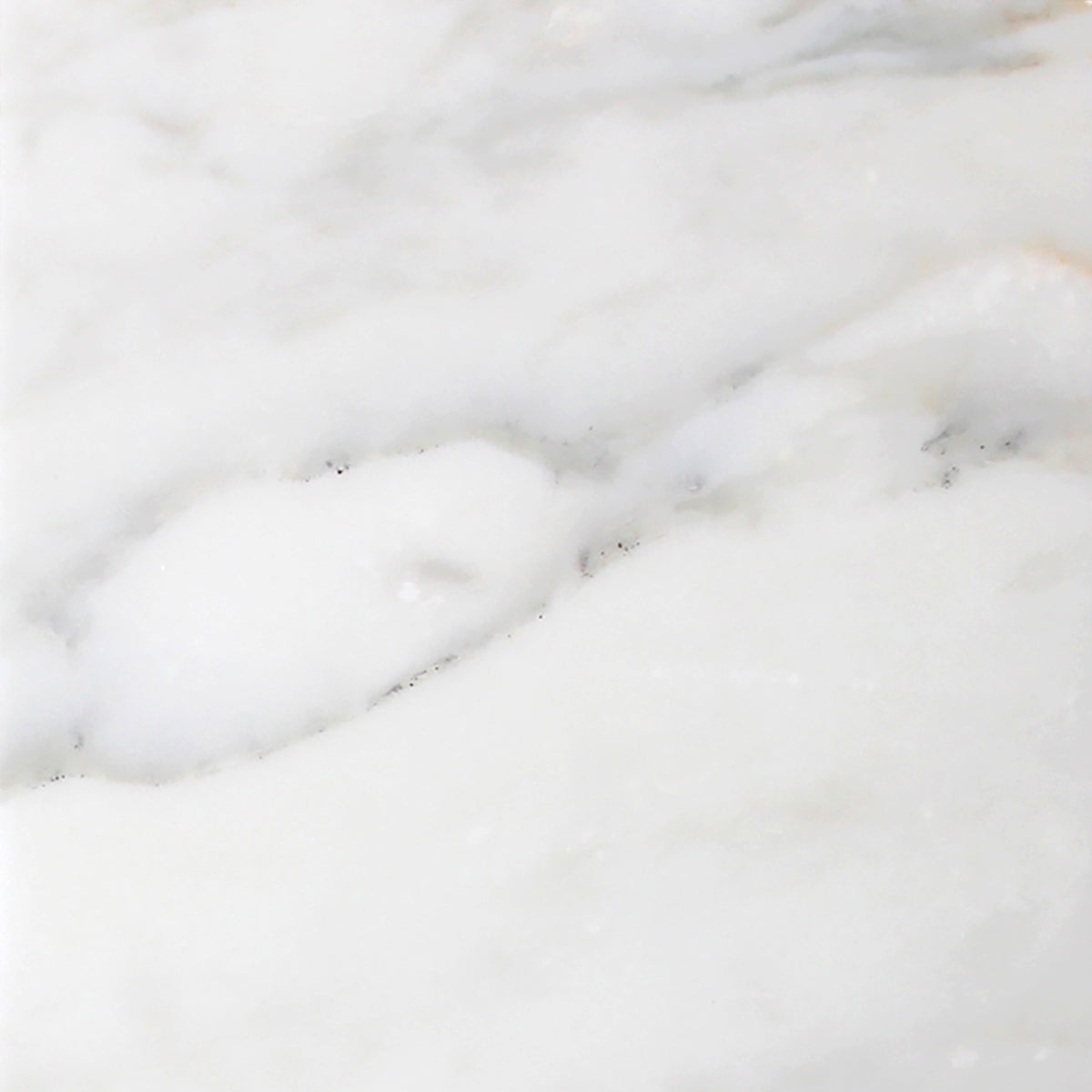 Calacatta Vida Honed 24'' x 24''  x 3/8'' Field Tile