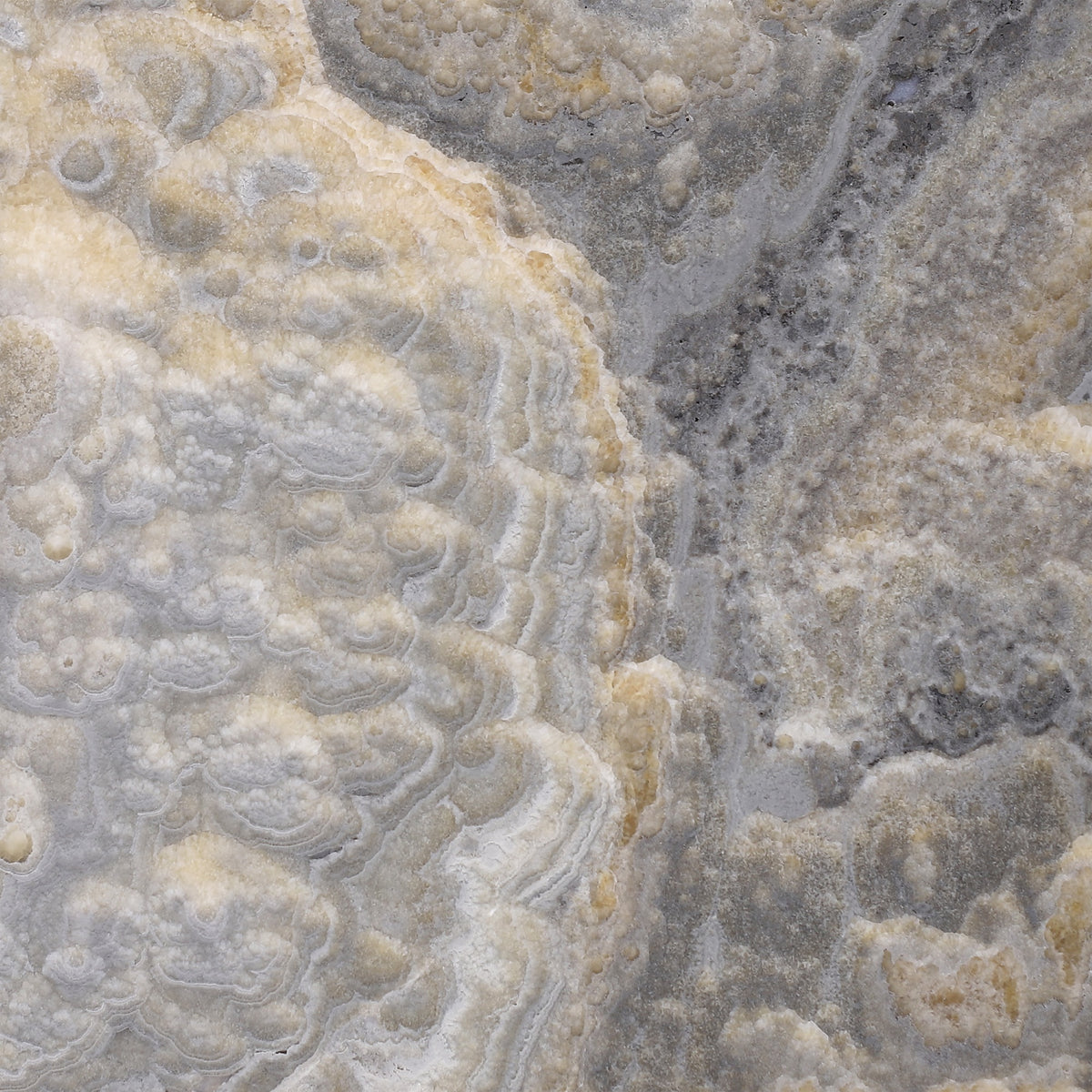 Dover Grey Onyx Honed 12'' x 12''  x 3/8'' Field Tile