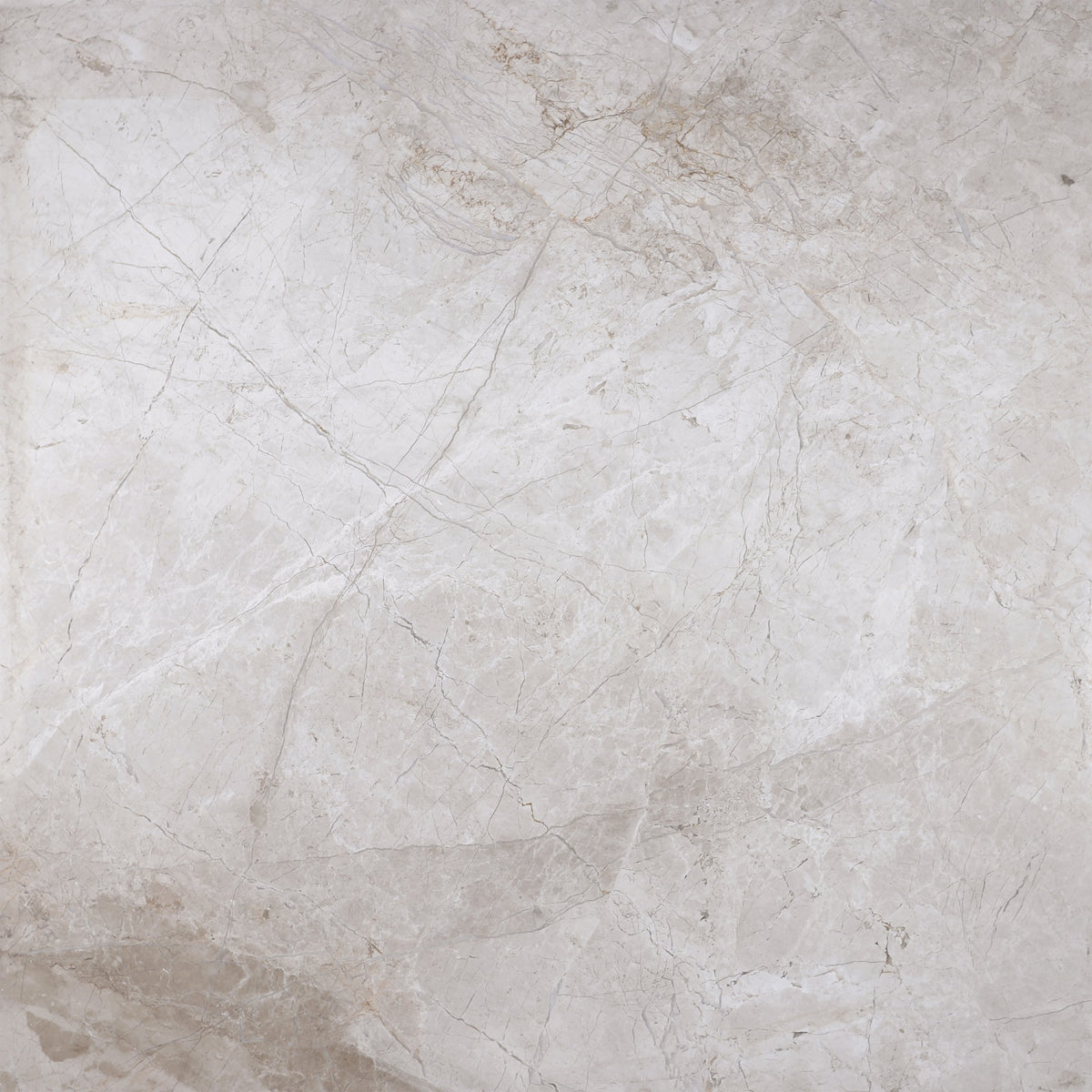 Cream Misto Honed 24'' x 24''  x 5/8'' Field Tile