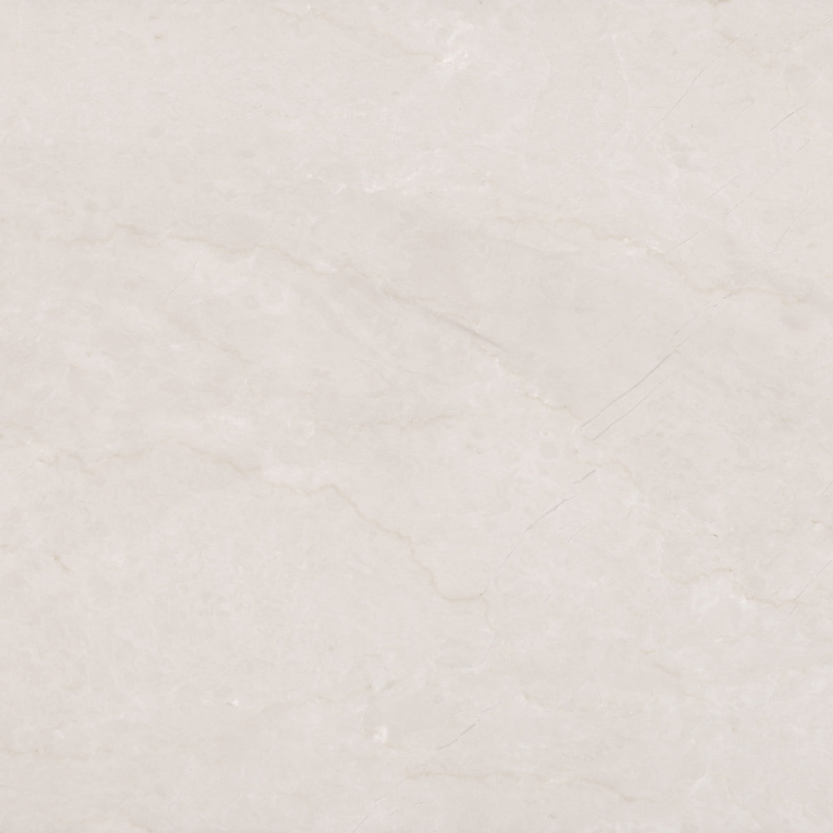 Crema Ella Polished 12'' x 12''  x 3/8'' Field Tile