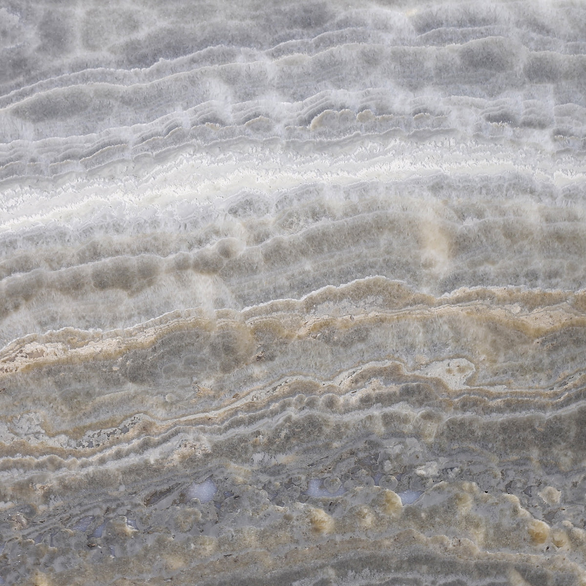 Dover Grey Onyx Polished 12'' x 12''  x 3/8'' Field Tile