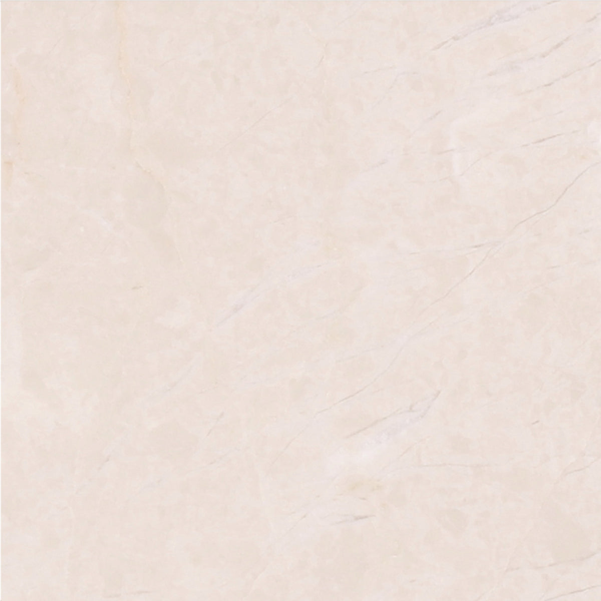 Crema Ella Honed 4&#39;&#39; x 4&#39;&#39;  x 3/8&#39;&#39; Field Tile Field Tile 