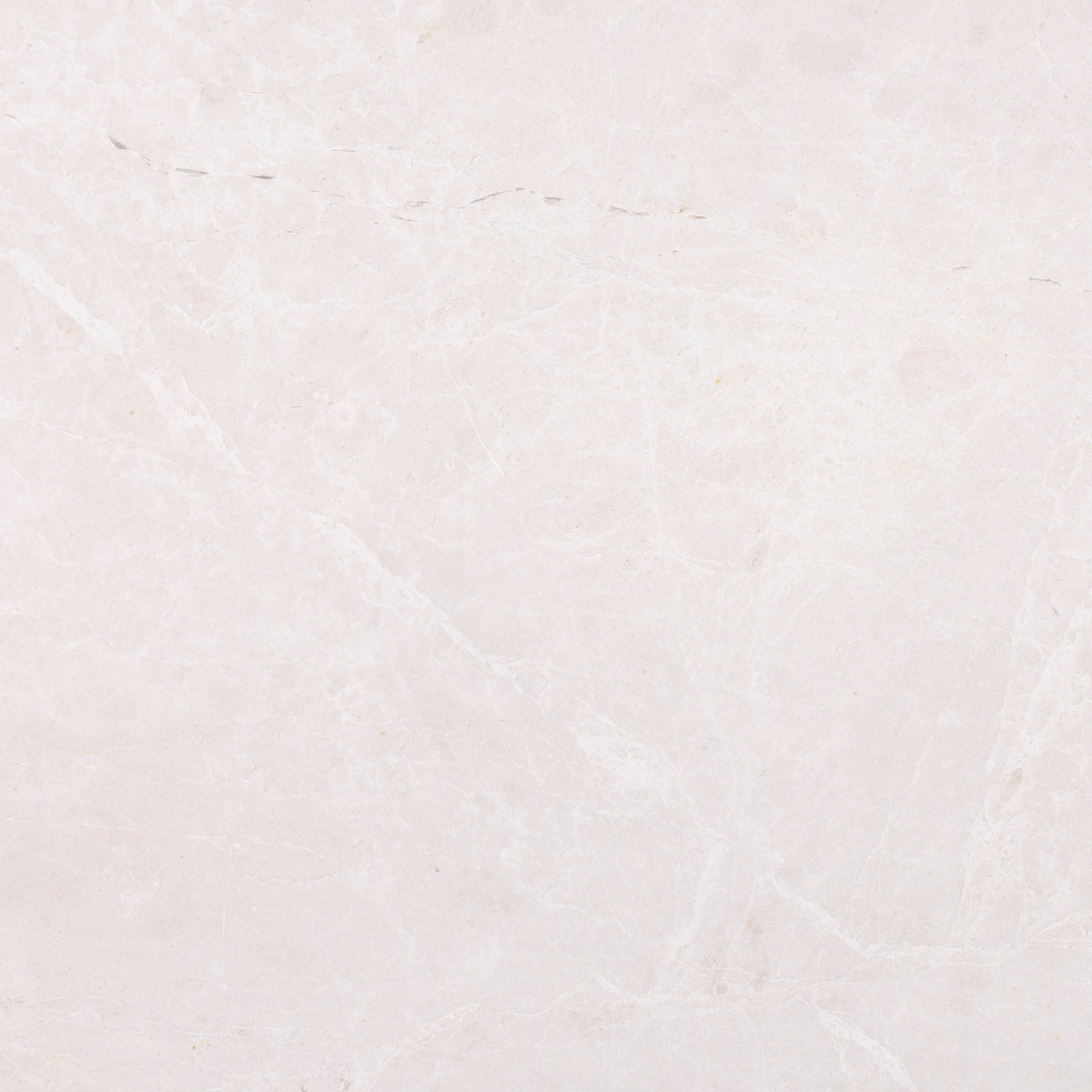Moon Cream Honed 12'' x 12''  x 3/8'' Field Tile