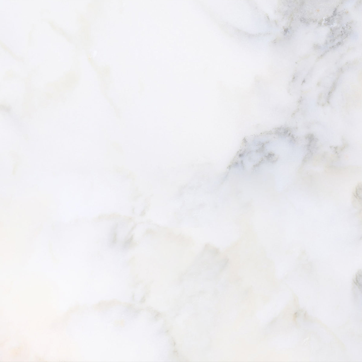 Calacatta Vida Honed 18'' x 18''  x 1/2'' Field Tile